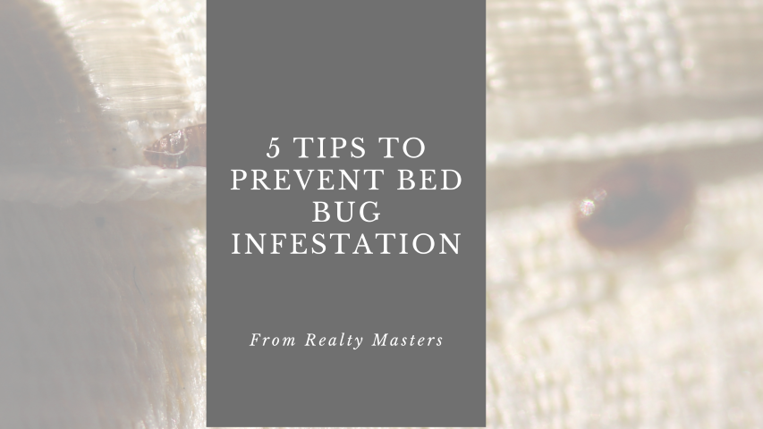5 tips to prevent bed bug 5 tips to prevent bed bug
