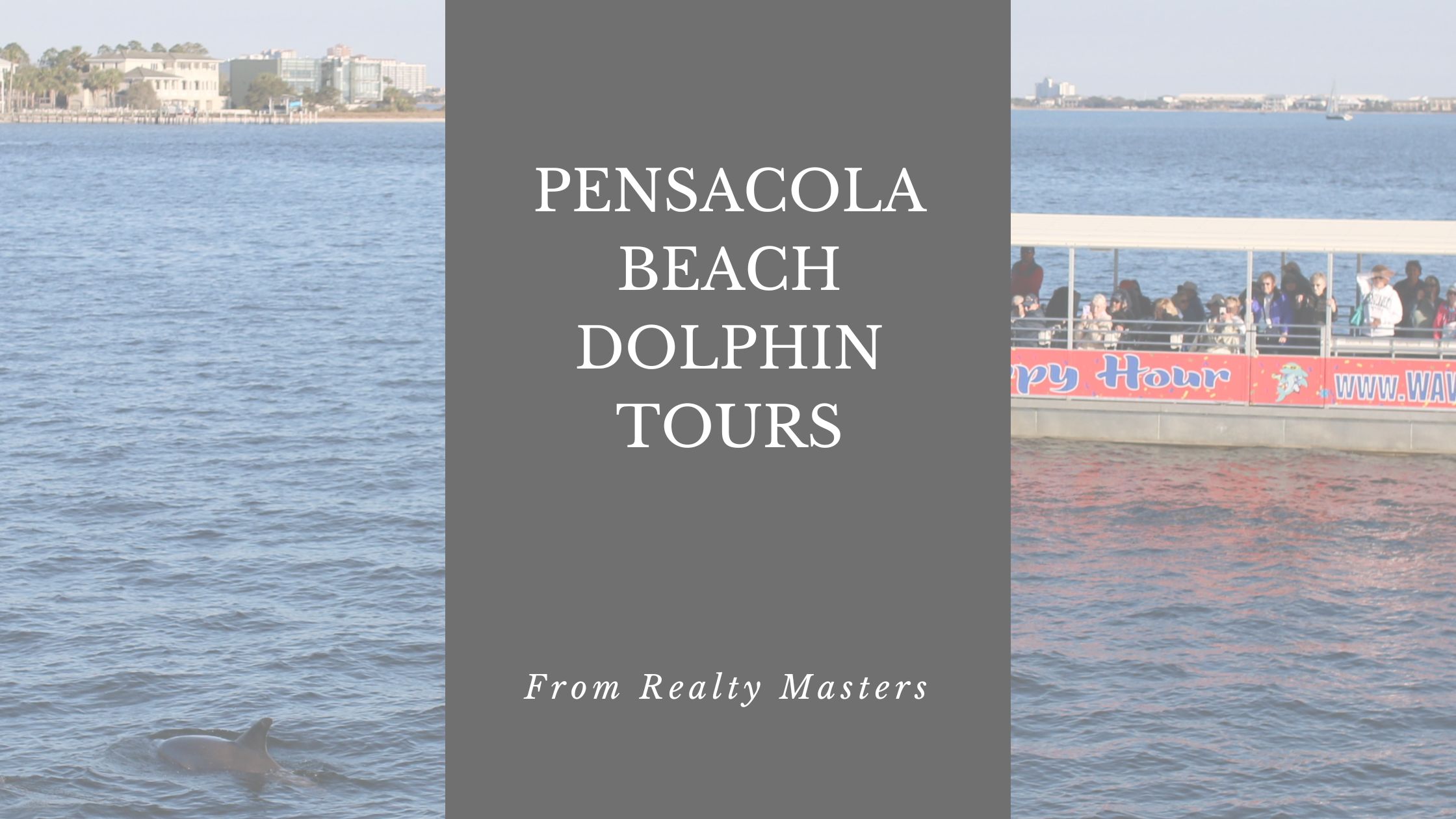 Dive into Adventure: Dolphin Tours in Pensacola Beach